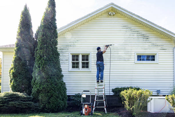 Reliable New Chicago, IN Pressure Washing Services Solutions